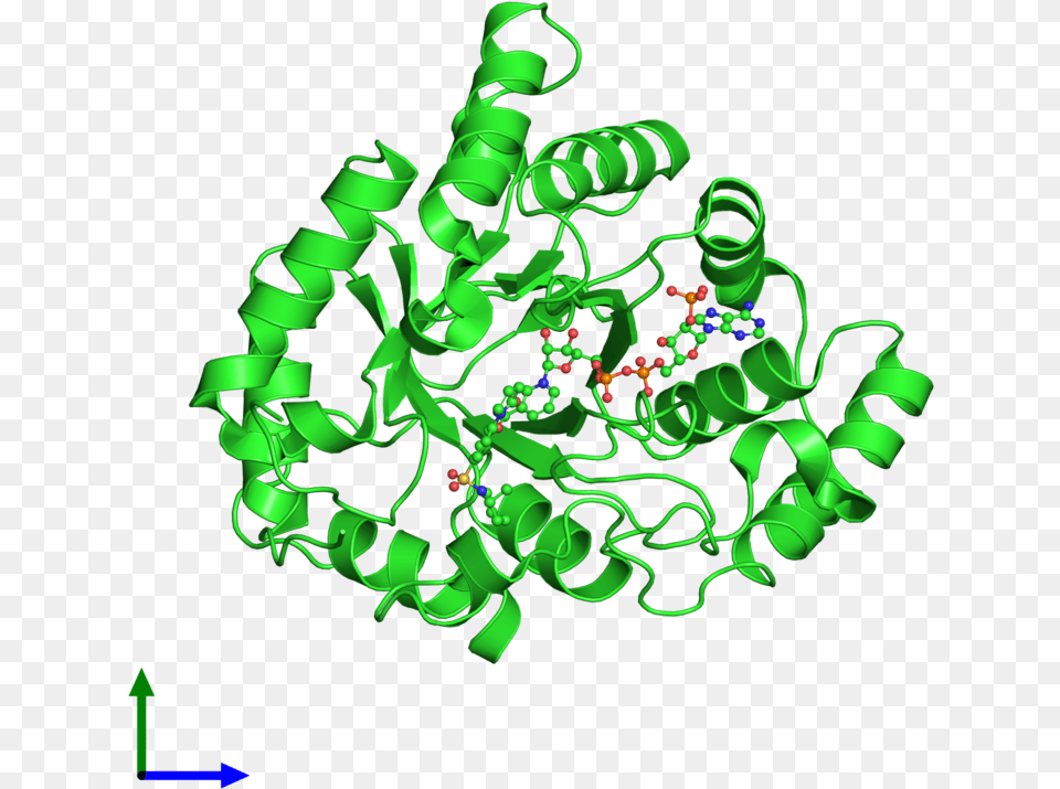 Pdb 4h7c Coloured By Chain And Viewed From The Front, Art, Graphics, Green, Pattern Png Image