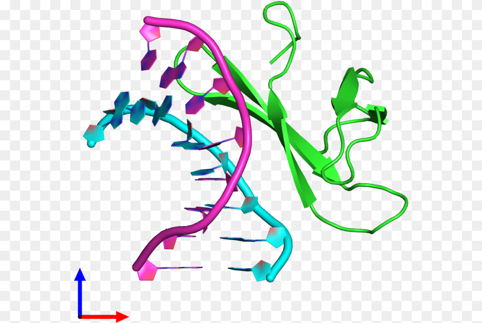 Pdb 4r55 Coloured By Chain And Viewed From The Front Graphic Design, Light, Paper Free Png Download