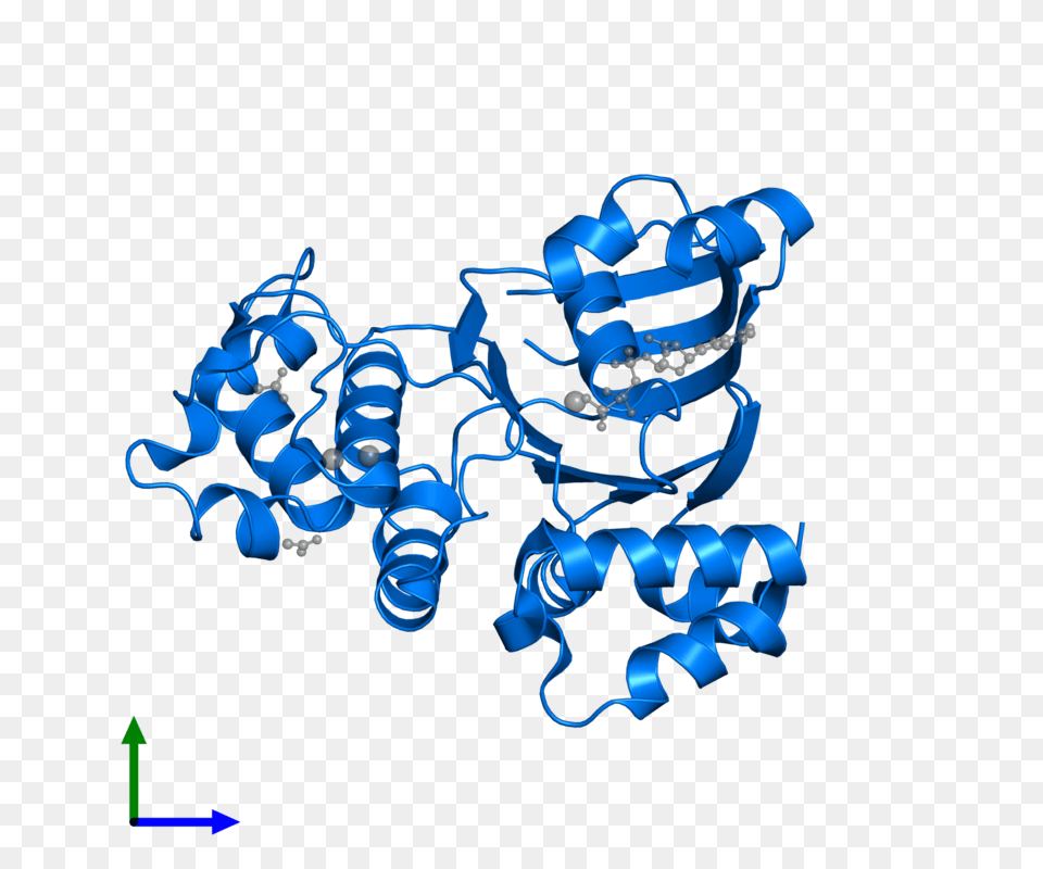 Pdb Gallery Protein Data Bank In Europe, Accessories Free Png