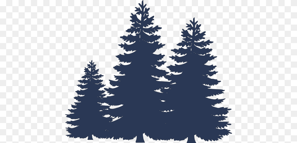 Pdbottom Paint Fir Tree Silhouette, Plant, Pine, Conifer, Person Png Image