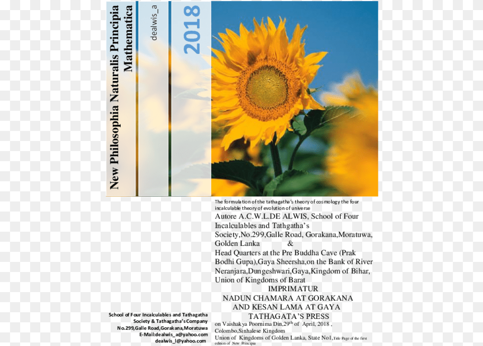 Pdf 2007, Flower, Plant, Sunflower Free Png Download