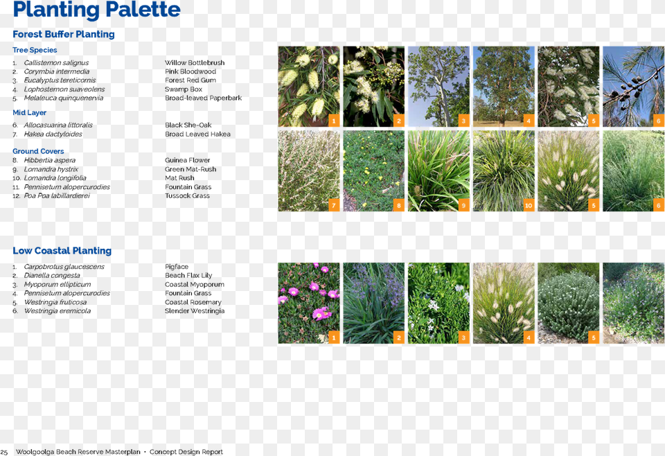 Pdf Creator Yard, Art, Collage, Vegetation, Plant Free Transparent Png