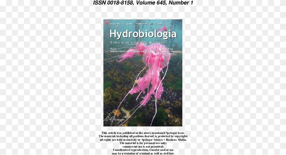 Pdf Identification Key For Young Ephyrae A First Step Tree, Animal, Sea Life, Invertebrate, Jellyfish Png
