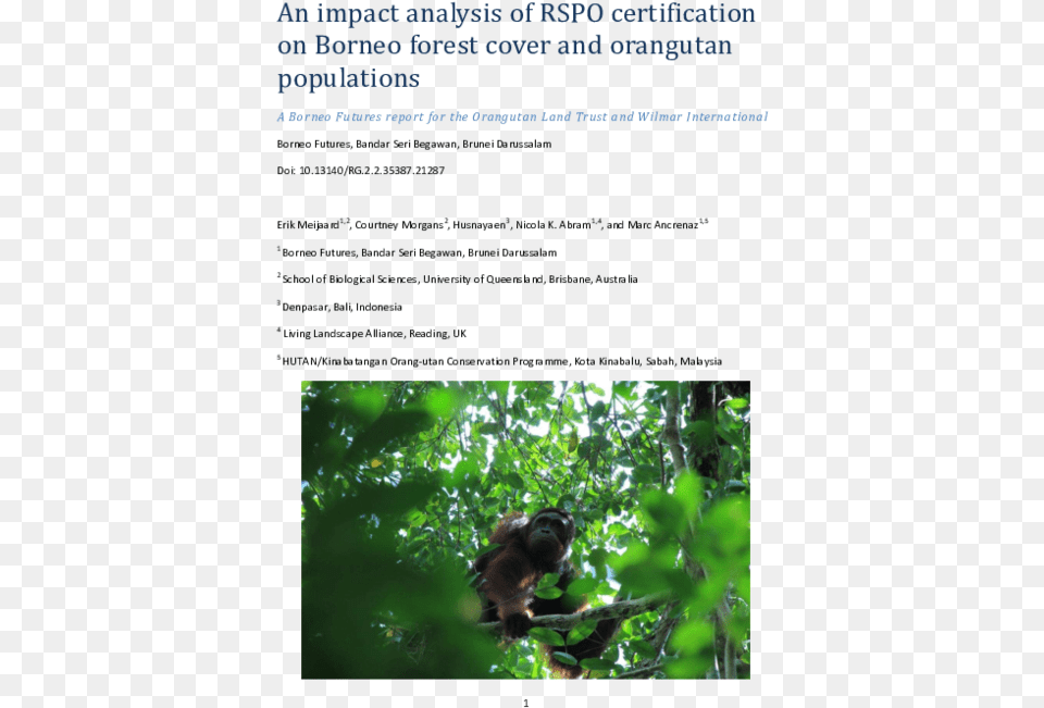 Pdf Macaque, Animal, Wildlife, Vegetation, Tree Free Transparent Png