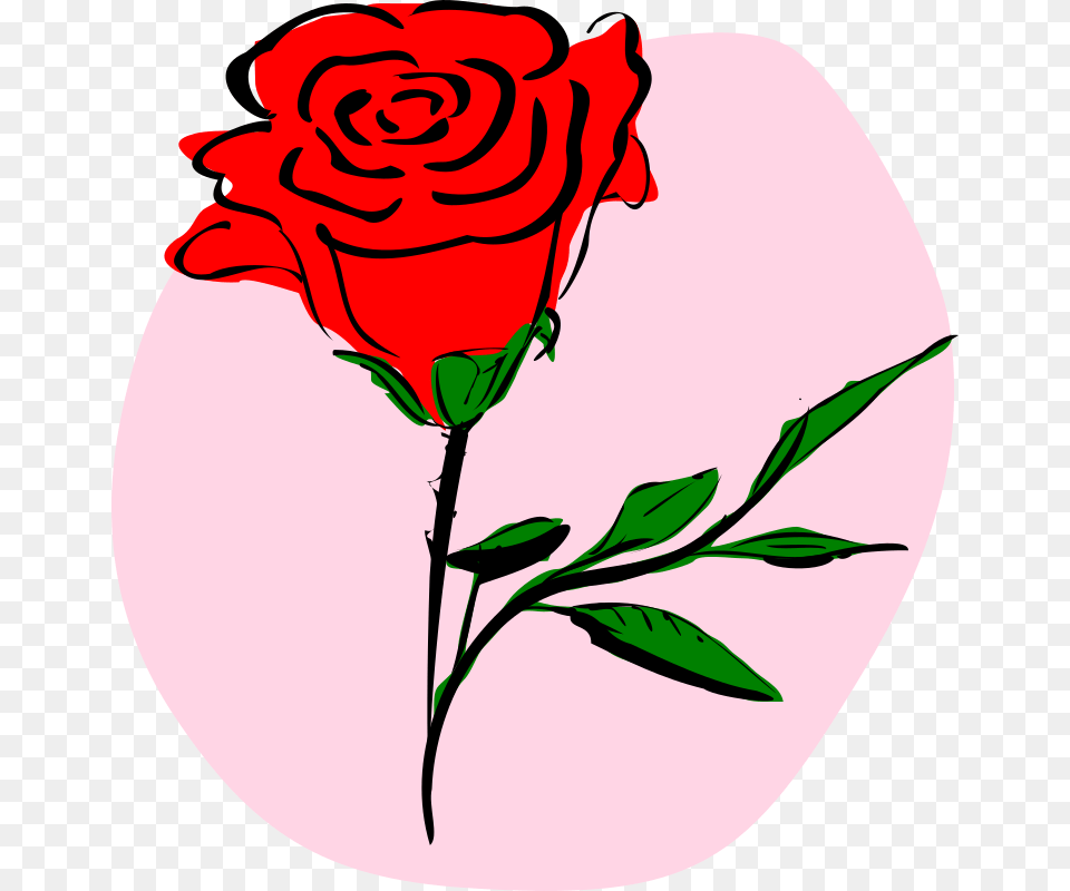 Pdf Roses Clipart, Flower, Plant, Rose Png Image