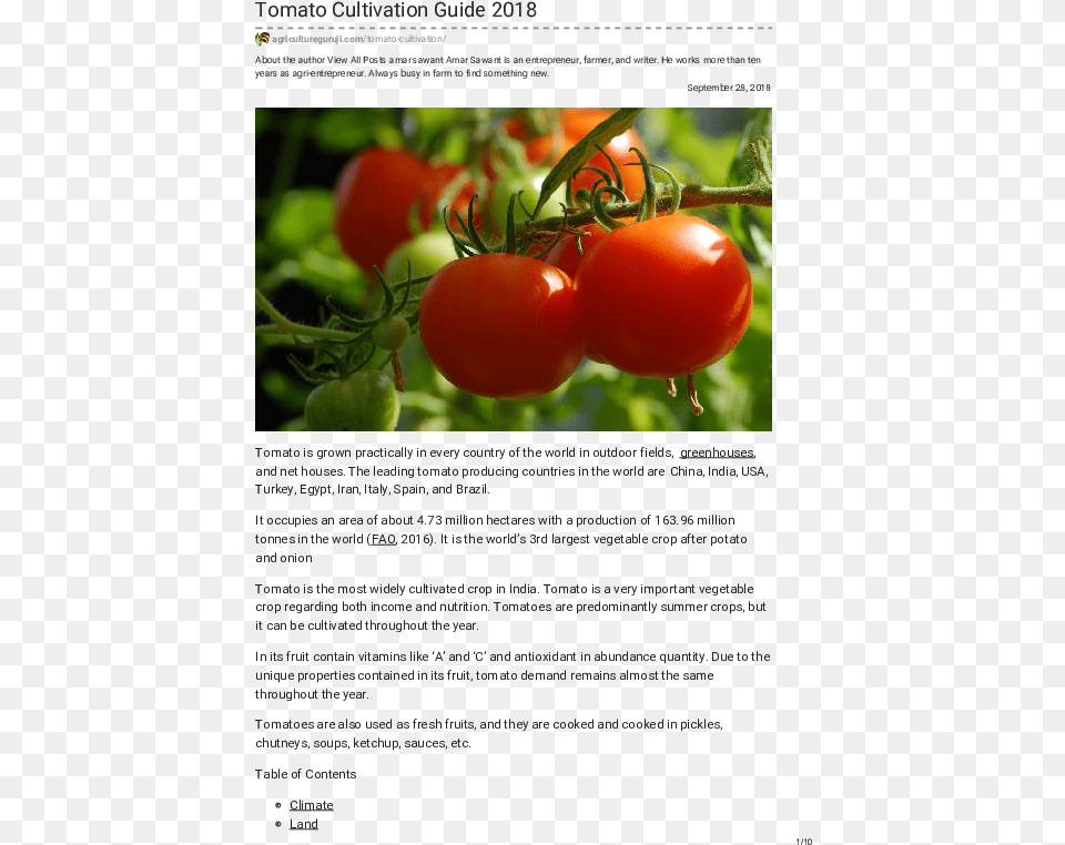 Pdf Tomato, Food, Plant, Produce, Vegetable Png Image