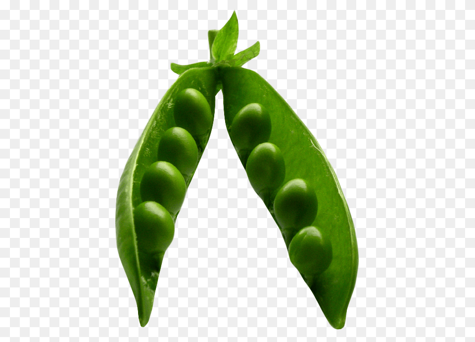 Pea, Food, Plant, Produce, Vegetable Free Png Download