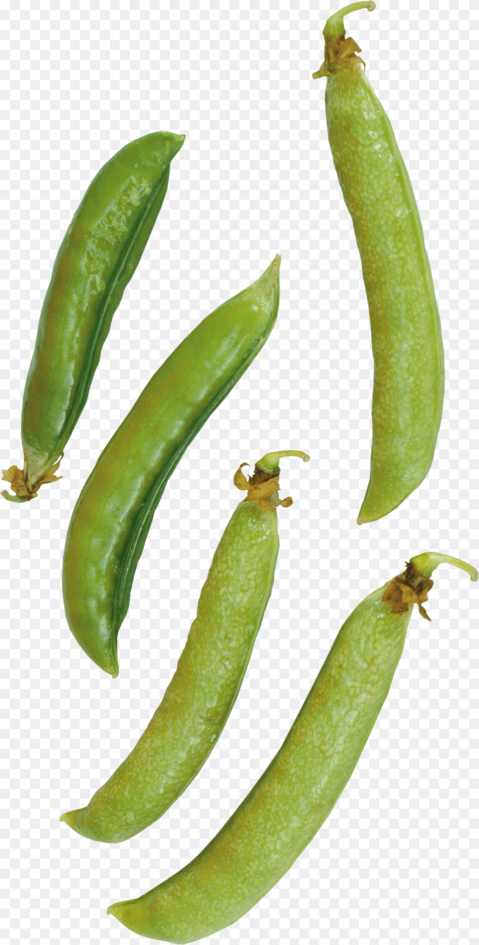 Pea Free Transparent Png