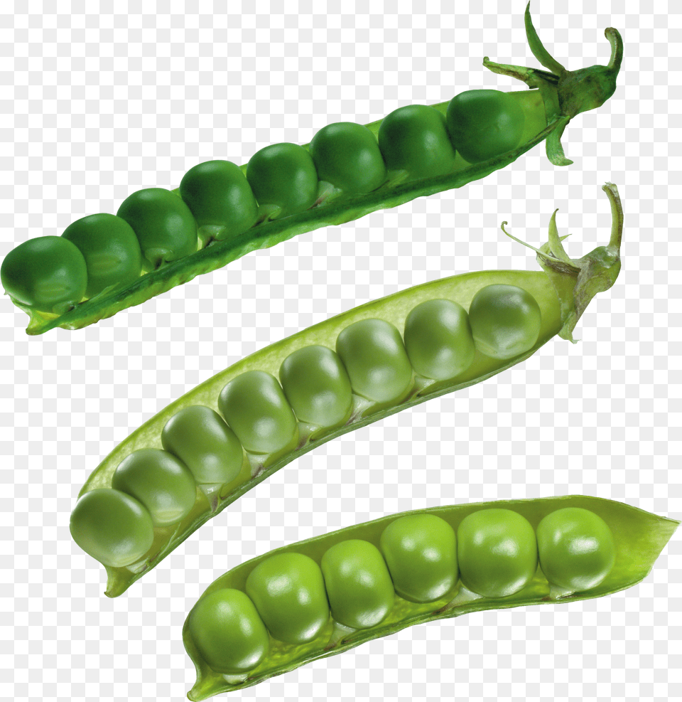 Pea Free Png Download