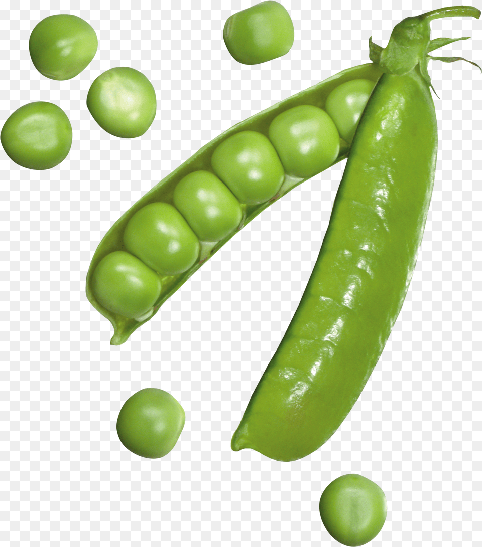 Pea Png Image