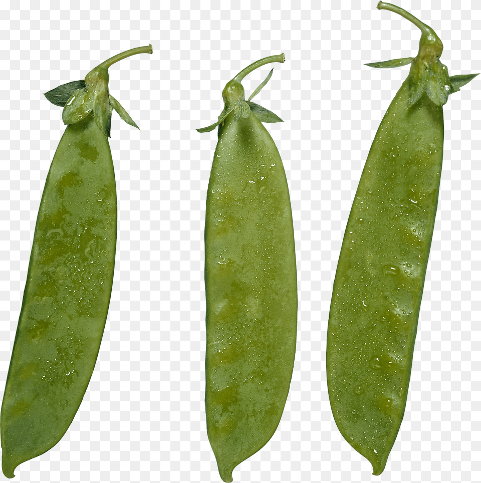 Pea, Food, Plant, Produce, Vegetable Png Image