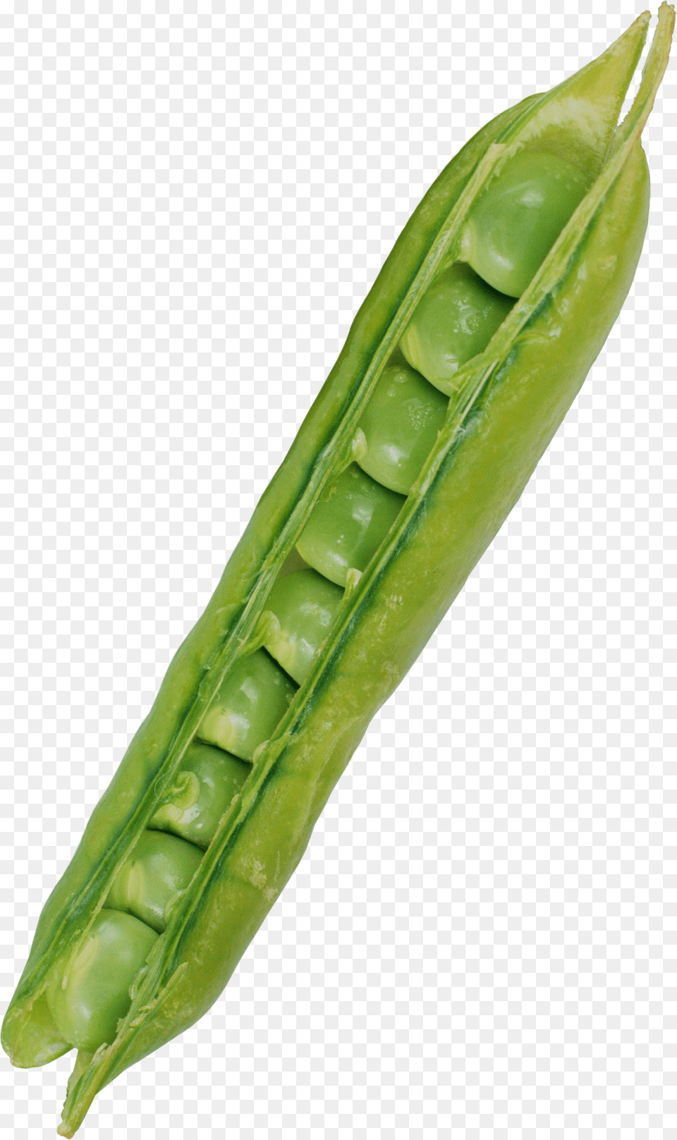 Pea Png Image