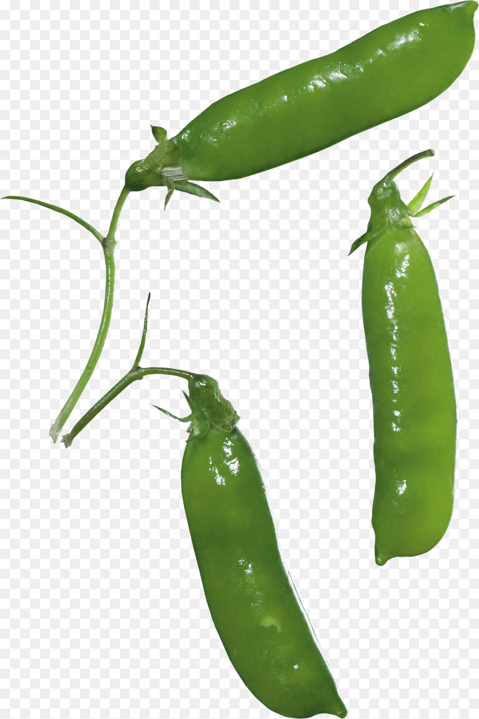Pea, Food, Plant, Produce, Vegetable Png Image