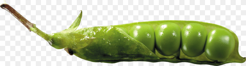 Pea Free Transparent Png