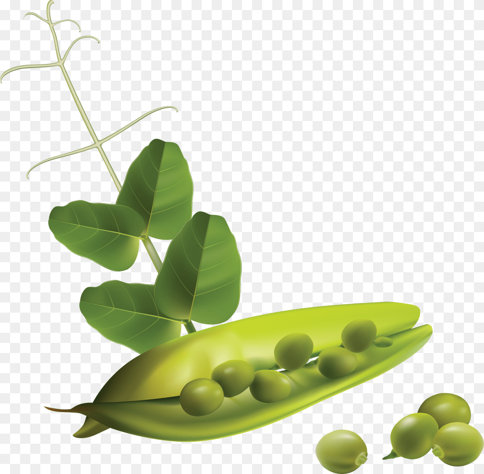 Pea, Food, Plant, Produce, Vegetable Free Transparent Png