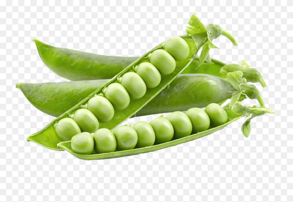 Pea, Food, Plant, Produce, Vegetable Free Png