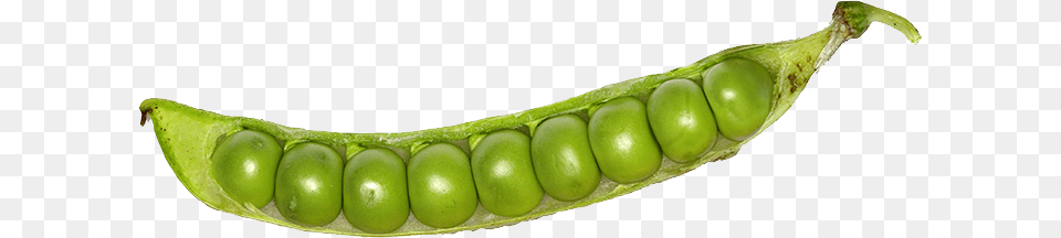 Pea, Food, Plant, Produce, Vegetable Free Transparent Png