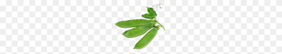 Pea, Food, Plant, Produce, Vegetable Free Png