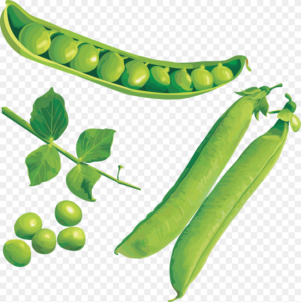 Pea, Food, Plant, Produce, Vegetable Free Png Download