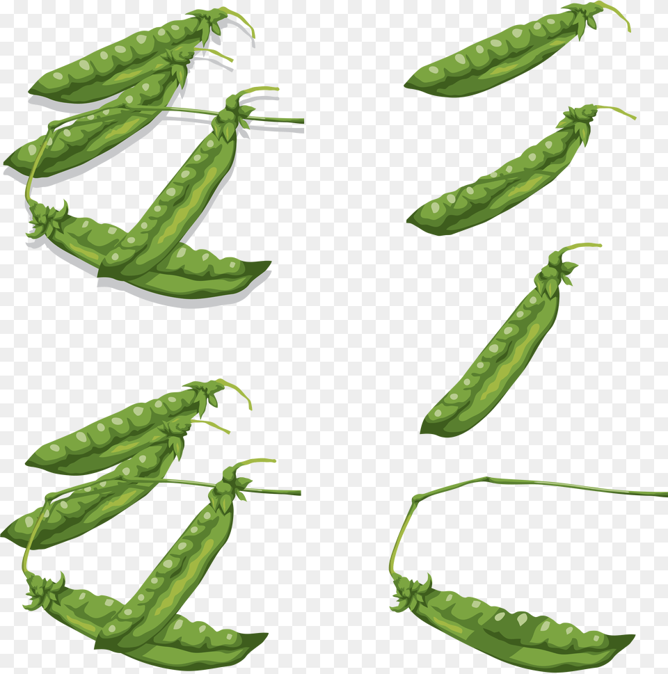 Pea, Food, Plant, Produce, Vegetable Png Image