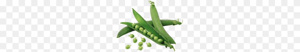 Pea, Food, Plant, Produce, Vegetable Png Image