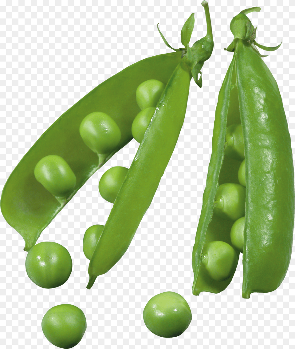 Pea, Gray Free Transparent Png