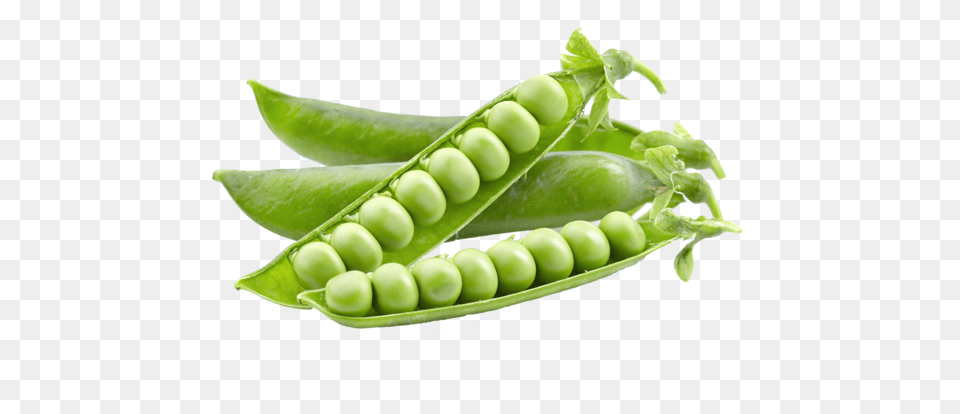 Pea, Food, Plant, Produce, Vegetable Png Image