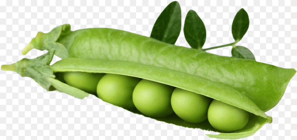 Pea Background Image Pea, Food, Plant, Produce, Vegetable Free Png