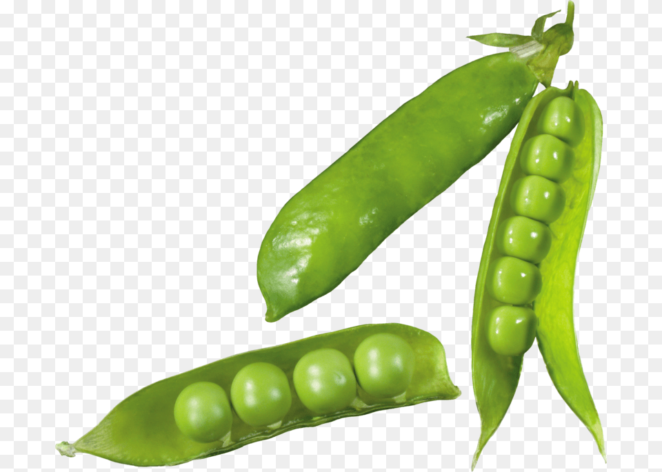 Pea Download Image With Transparent Background Snow Peas, Food, Plant, Produce, Vegetable Free Png
