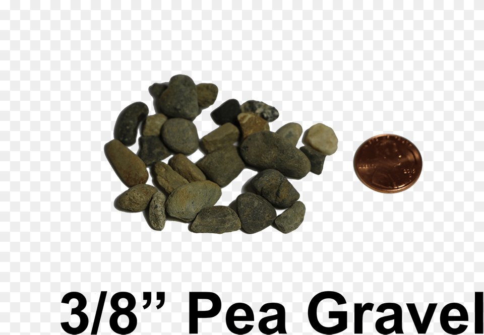 Pea Gravel Mini, Pebble, Fungus, Plant, Rock Png Image