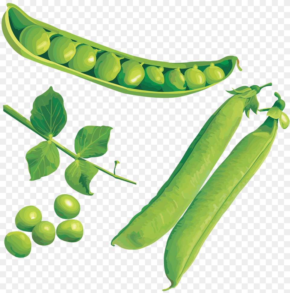 Pea Image, Food, Plant, Produce, Vegetable Free Png Download