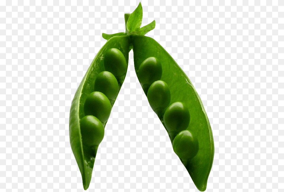 Pea Image For Pea, Food, Plant, Produce, Vegetable Free Transparent Png