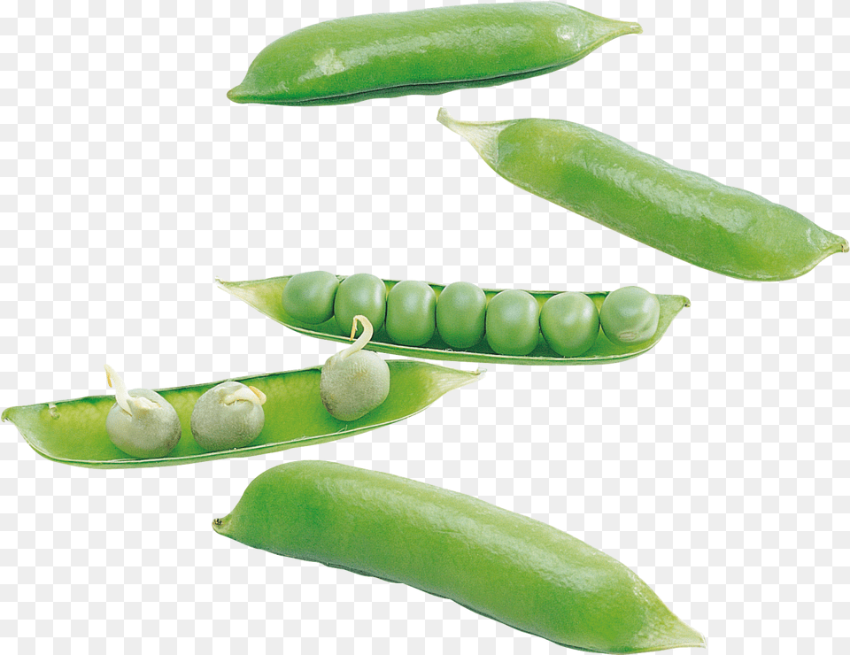 Pea Image Green Pea, Food, Plant, Produce, Vegetable Free Png Download