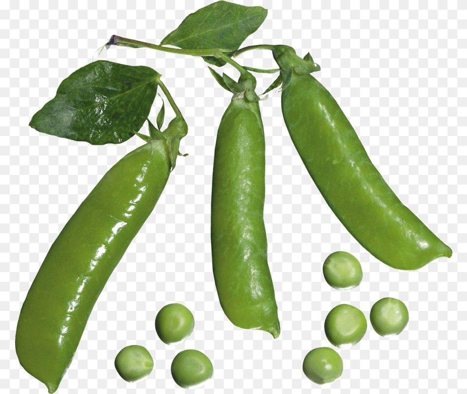 Pea Images Transparent Goroh Klipart, Vegetable, Produce, Plant, Food Png