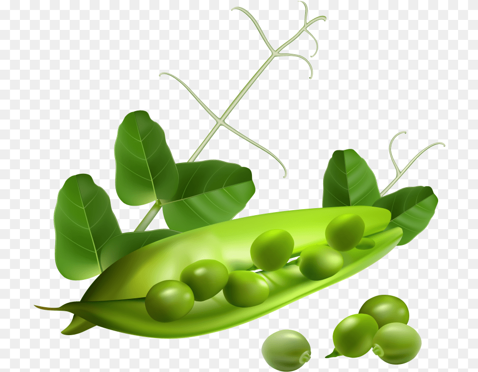 Pea Images Transparent Peas Clipart Transparent Background, Food, Plant, Produce, Vegetable Png Image