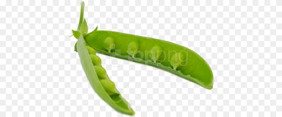 Pea Images Transparent Vaina, Food, Plant, Produce, Vegetable Free Png