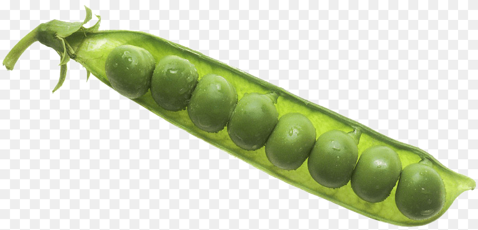 Pea Pea Background Peas In Pod, Food, Plant, Produce, Vegetable Png Image