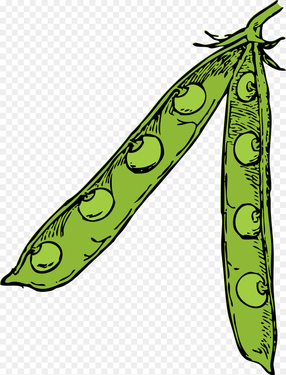Pea Pod, Food, Produce, Plant, Vegetable Free Transparent Png