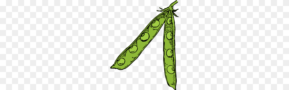 Pea Pod Clip Art Vector, Food, Plant, Produce, Vegetable Png
