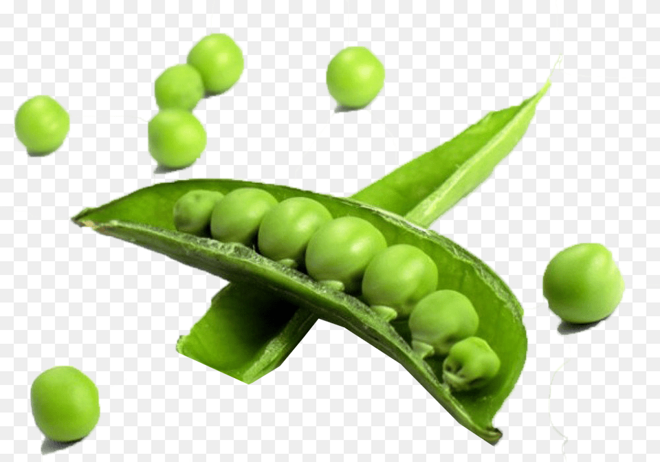 Pea Transparent Vegetables In A Single, Vegetable, Tennis Ball, Tennis, Sport Free Png