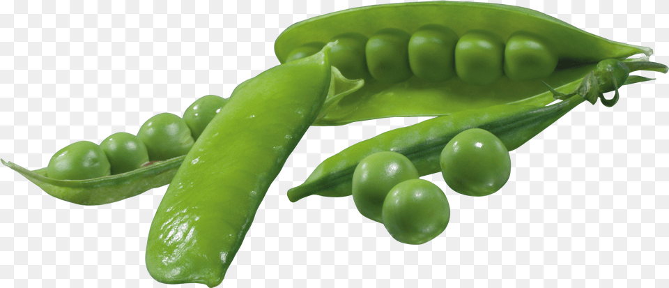 Pea Vegetables Free Png Download
