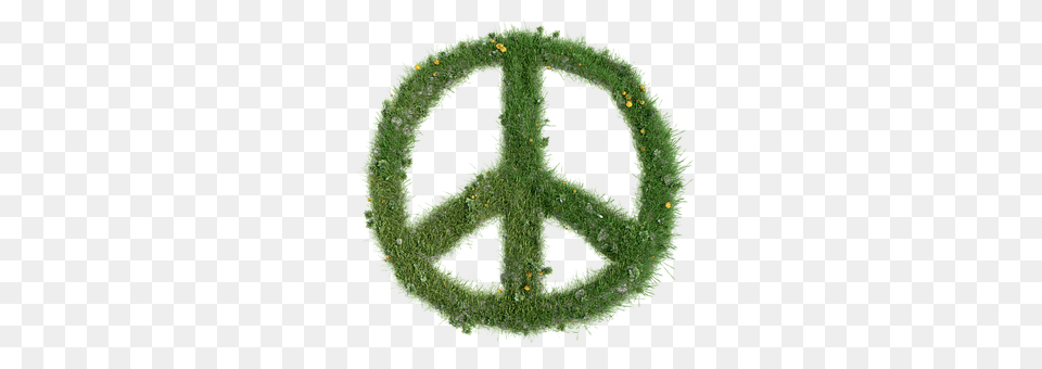 Peace Plant, Moss, Grass, Leaf Png Image