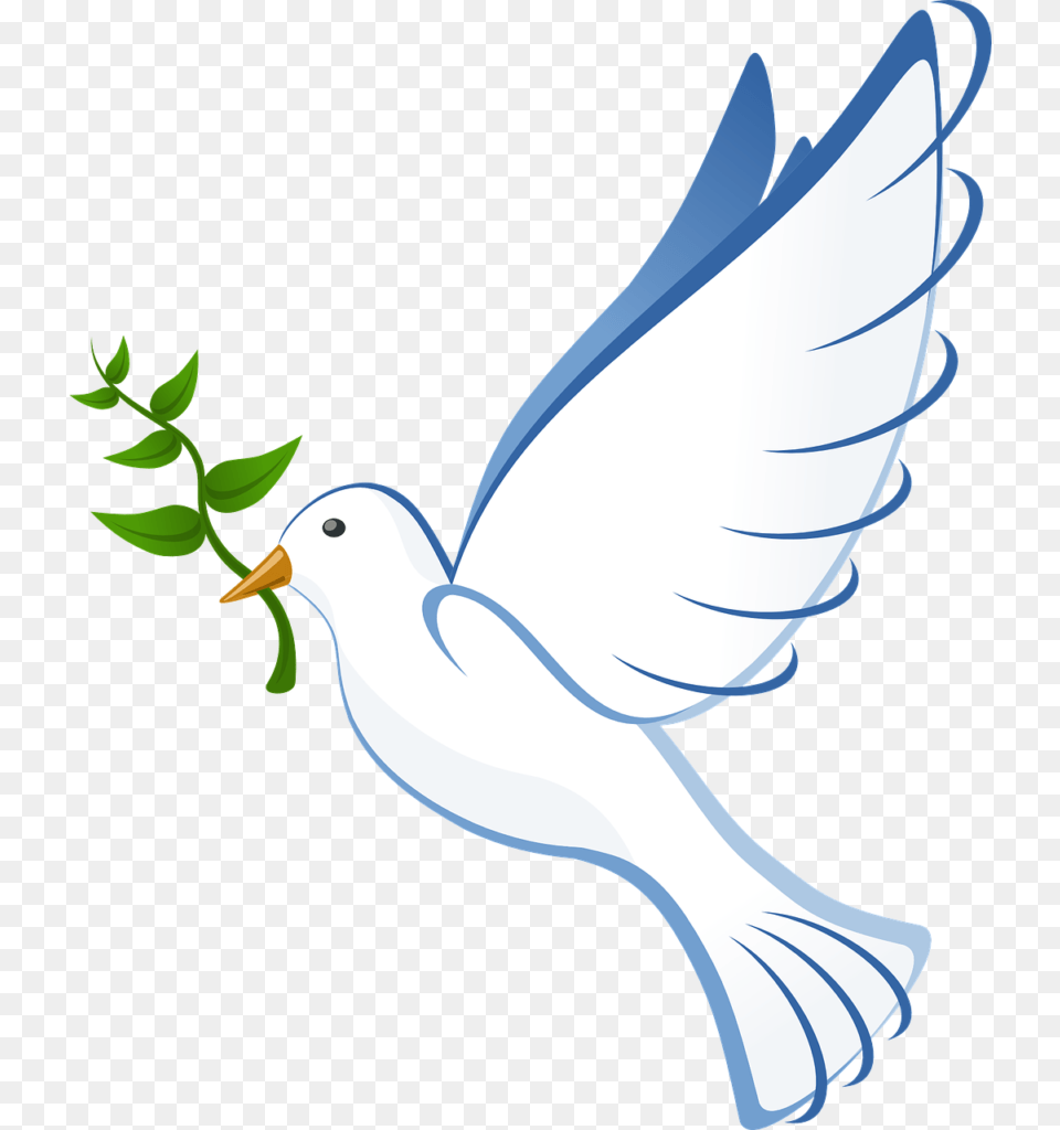Peace, Animal, Bird, Pigeon, Dove Free Png Download