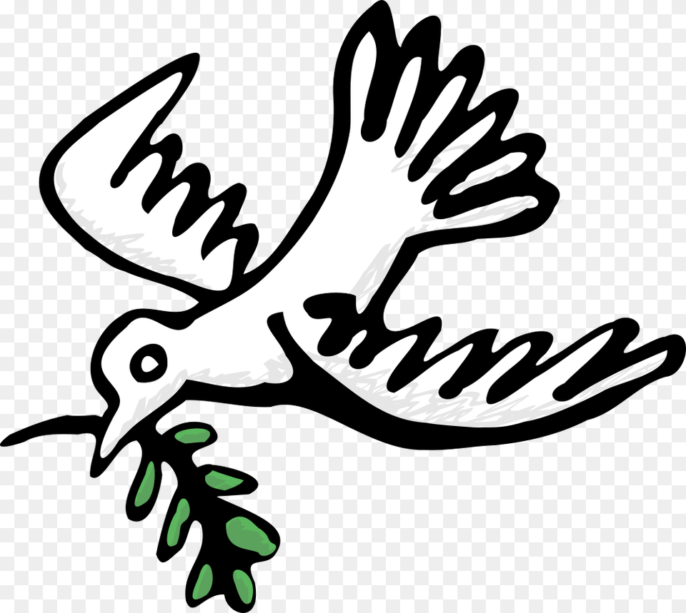 Peace Dove, Animal, Bird, Pigeon, Fish Free Png Download