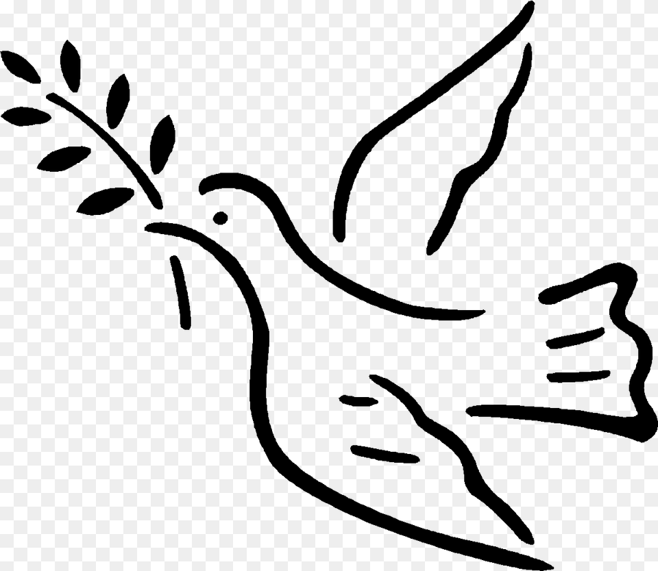 Peace Dove, Gray Free Png