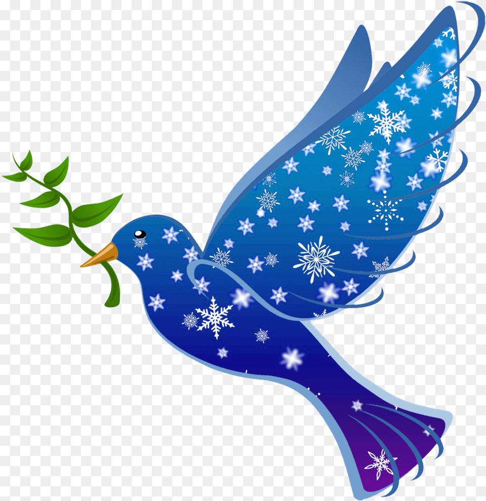 Peace Dove Bird Dove Bird Peace, Animal, Jay, Pattern, Flag Free Transparent Png