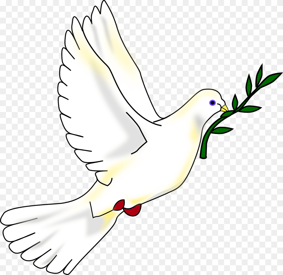 Peace Dove Clipart, Animal, Bird, Pigeon Free Png