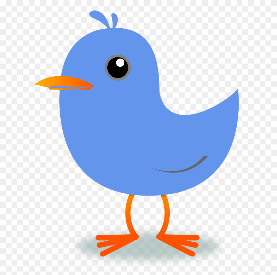 Peace Dove Clipart Blue Dove, Animal, Beak, Bird, Nature Png