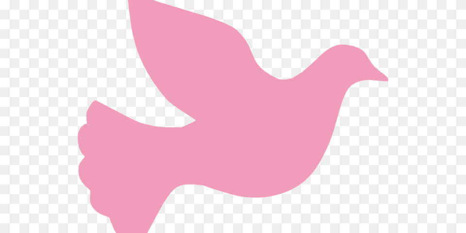 Peace Dove Clipart Vigil Dove, Animal, Bird, Pigeon, Baby Free Transparent Png
