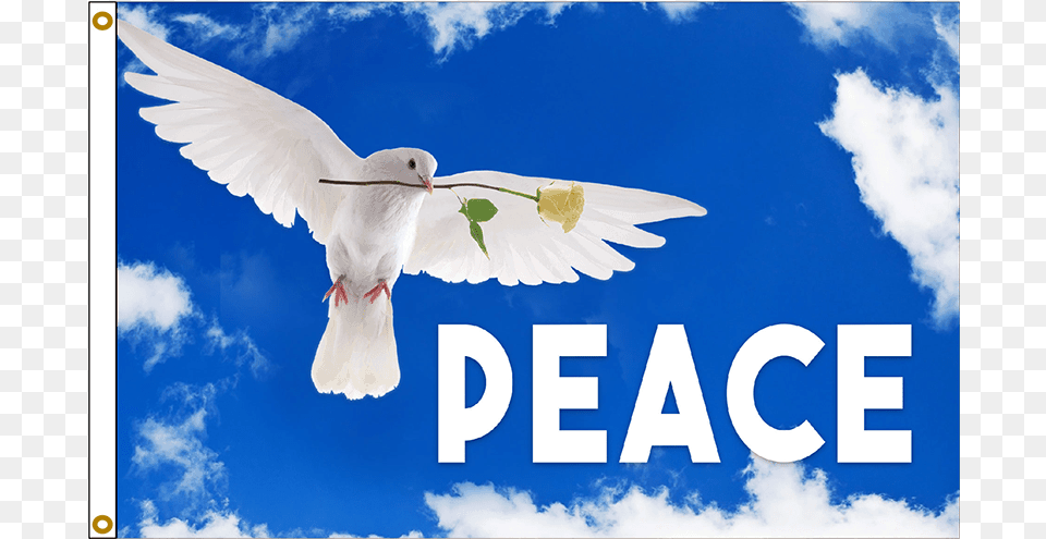 Peace Dove Flag Peace Flag With Dove, Animal, Bird, Pigeon Free Transparent Png